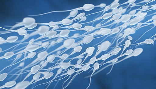 Spermakontrollen